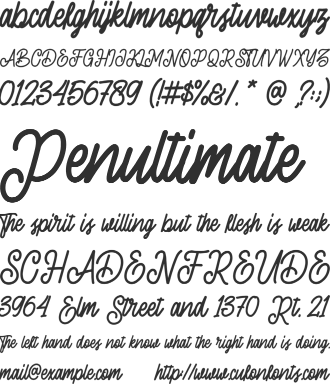 Sherly Shane font preview