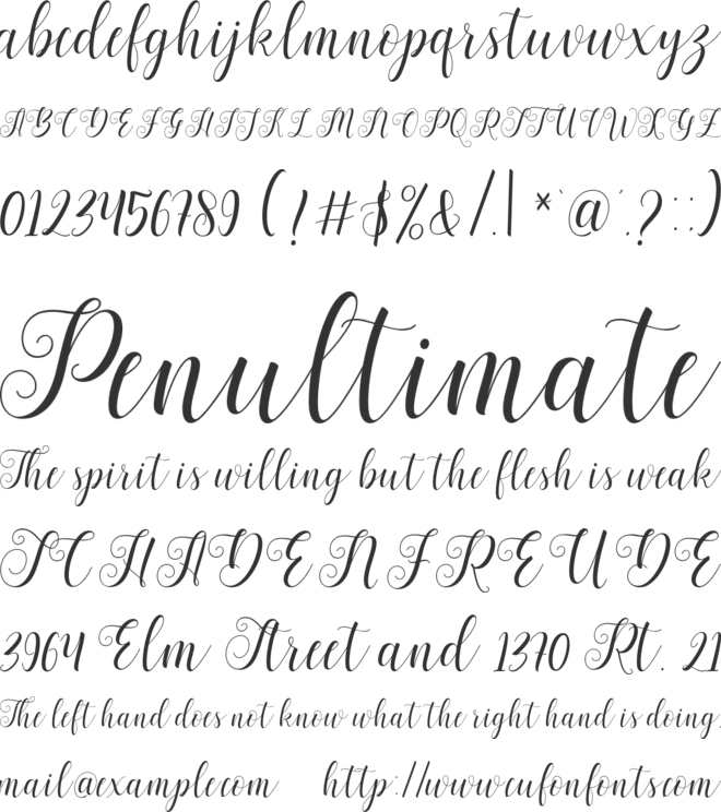 Bertiga font preview