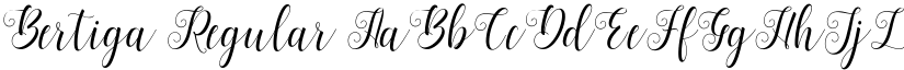 Bertiga Regular font