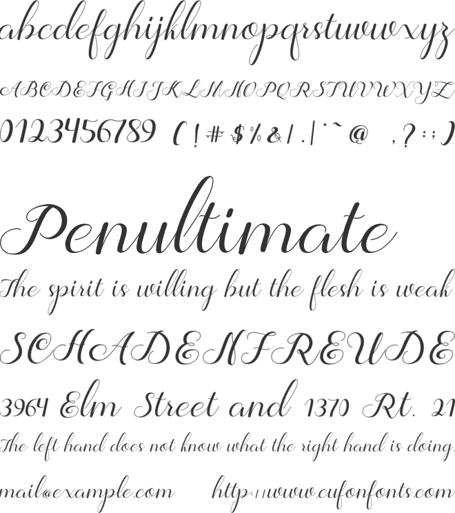 Jelita font preview