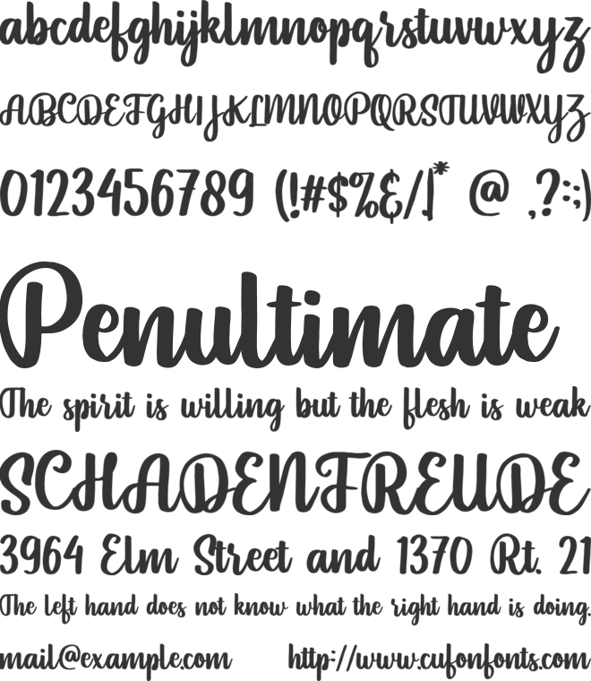 Pintgram font preview