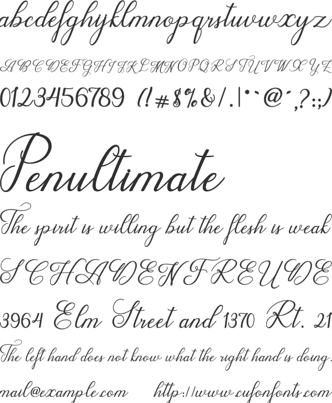 Wedding Script Font Download Free For Desktop And Webfont