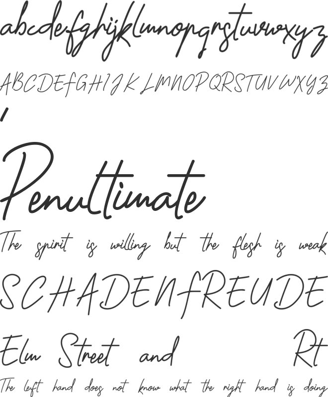 Shantty font preview