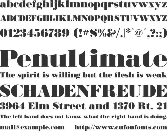 BodoniUltraFLF font preview