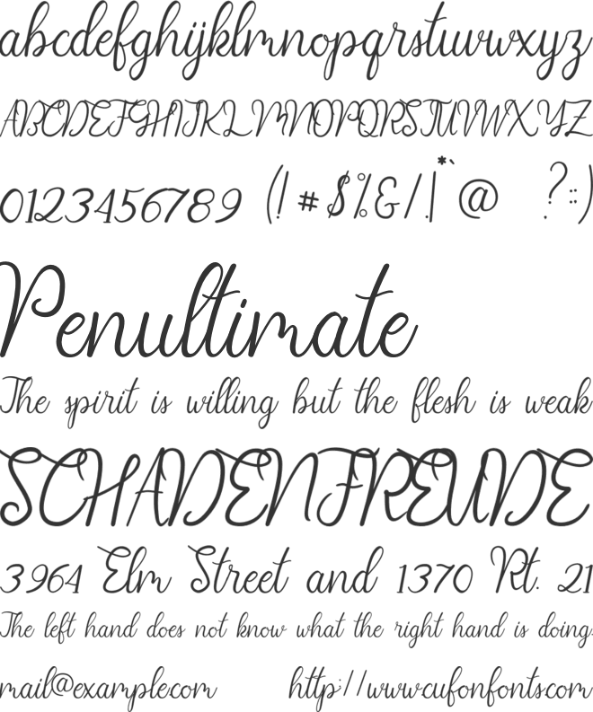 Diana_Script font preview