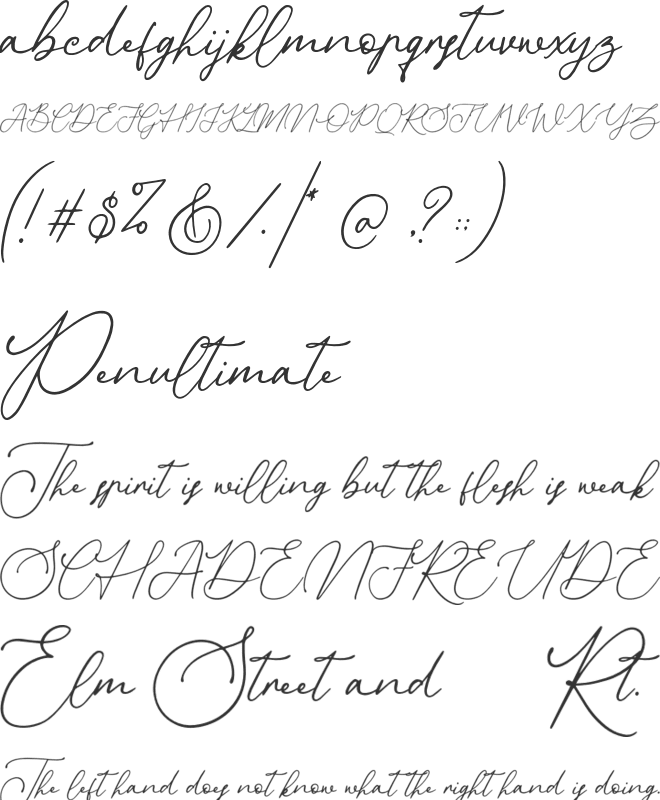 Donatellia font preview