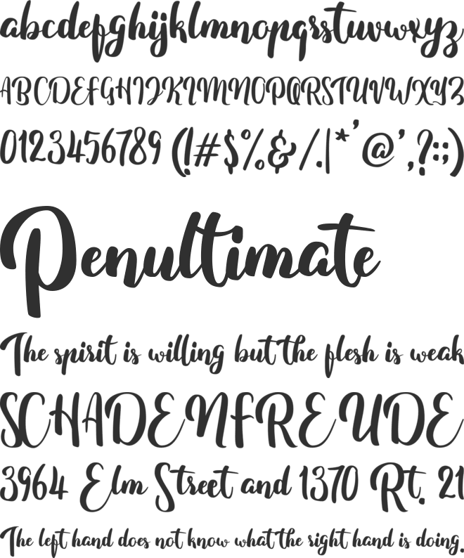 Fitamint Script font preview