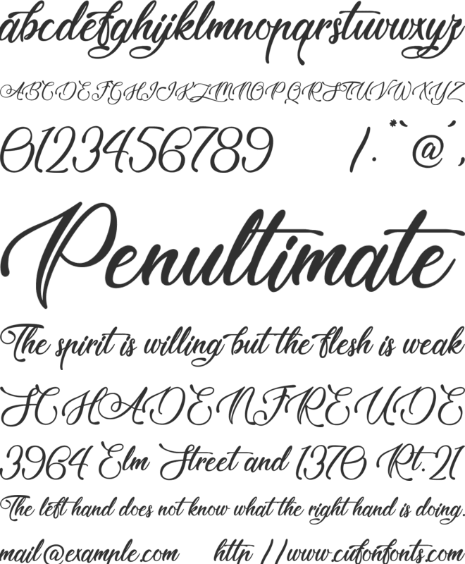 Tale of Hawks font preview