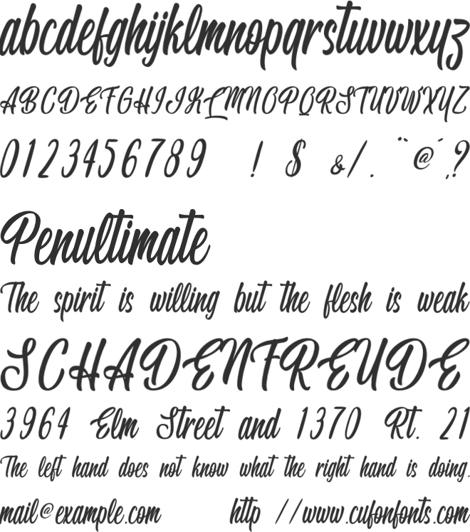 Handsome Boss - Personal Use font preview