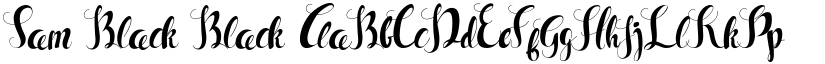 Sam Black Black font