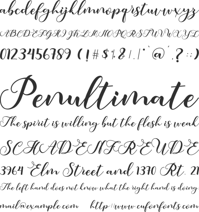amotim font preview