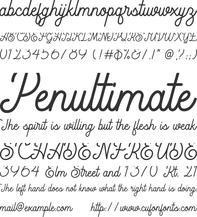 Rigoletto font preview