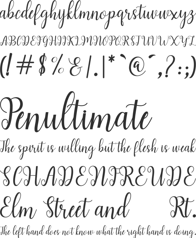andiney font preview
