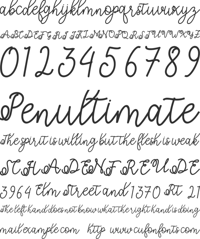 Shafiyyah font preview