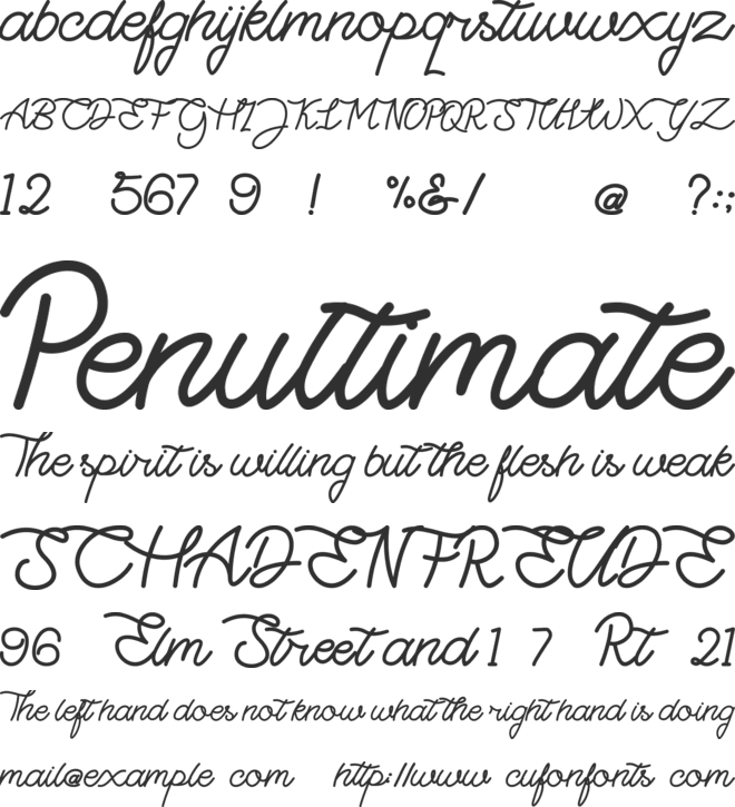 Highday Script font preview