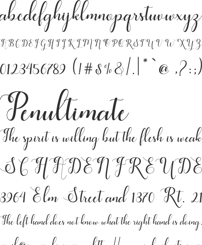 feeling font preview