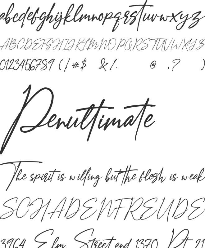 Amostely Signature font preview