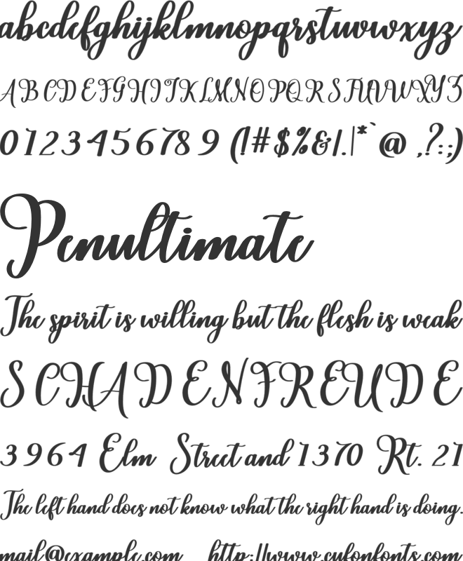 Cardina font preview