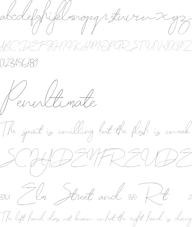 Zolland font preview
