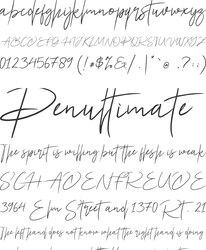 Ariel Script font preview