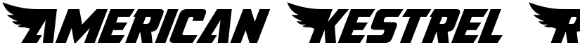 American Kestrel Regular font