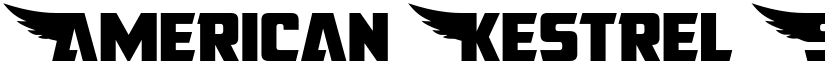American Kestrel Straight Regular font
