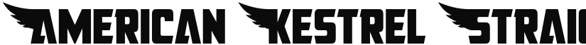 American Kestrel Straight Cond Condensed font