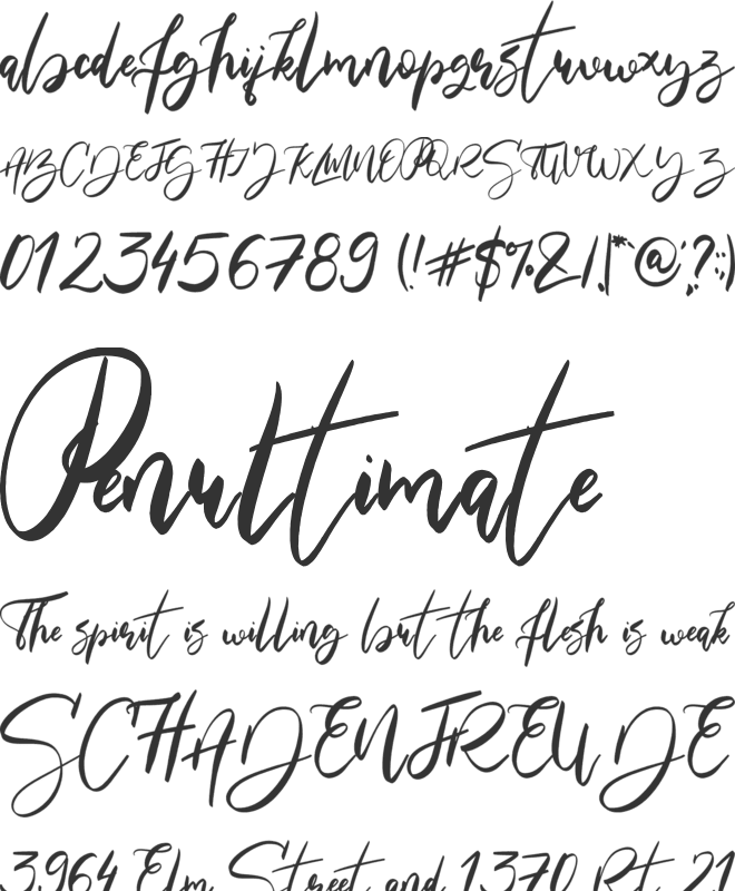 Maria Rose font preview