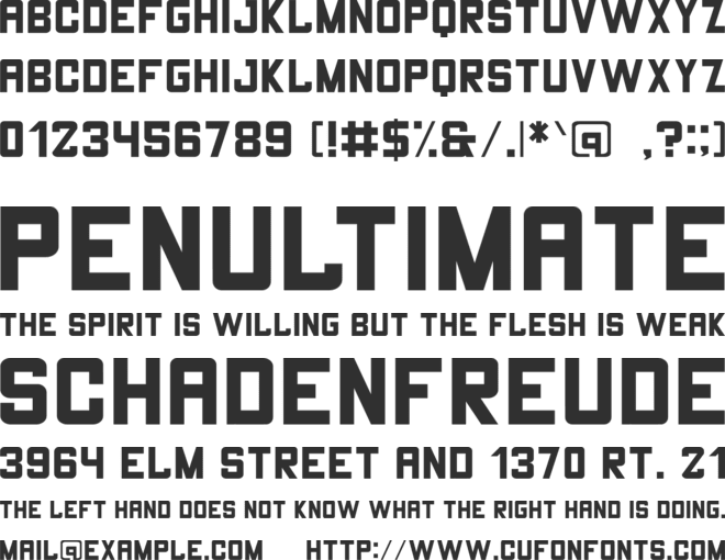 THE CHAMP font preview