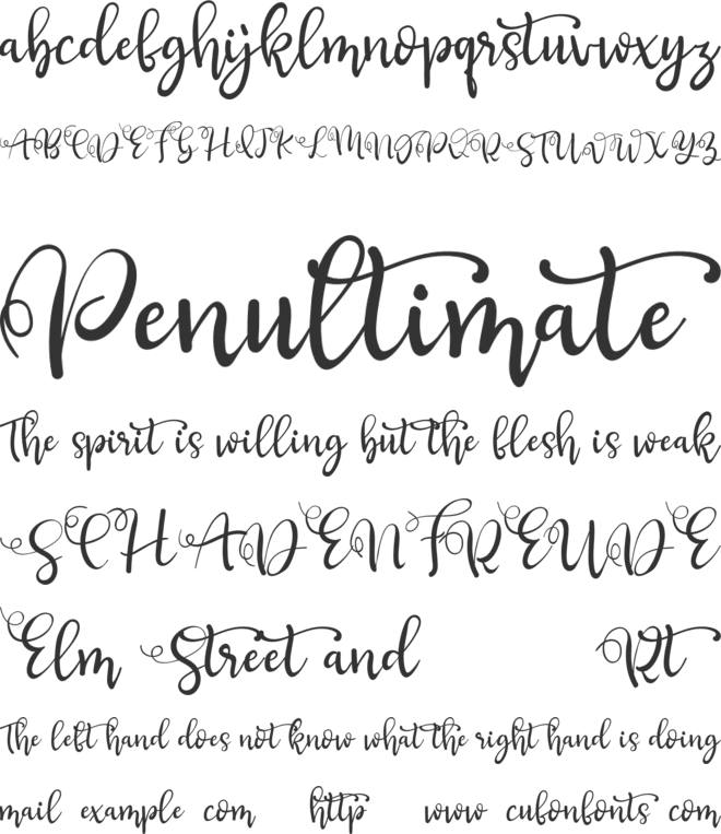 Suci Marwati font preview