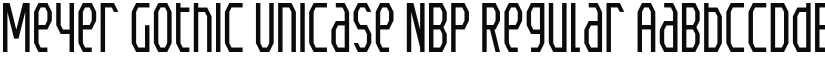 Meyer Gothic Unicase NBP Regular font