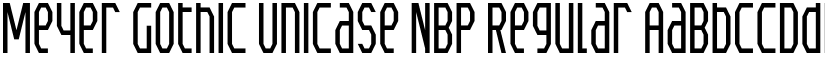 Meyer Gothic Unicase NBP Regular font