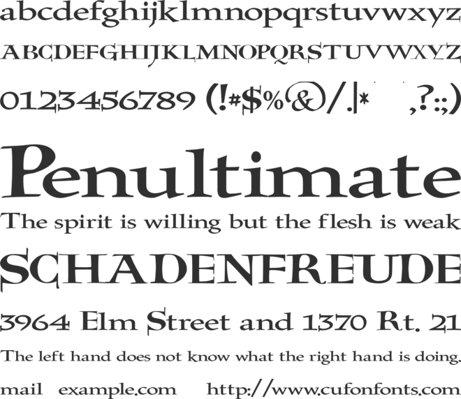 JMH Holy Bible font preview