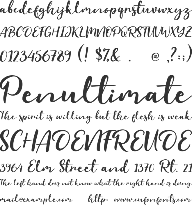 Evident font preview