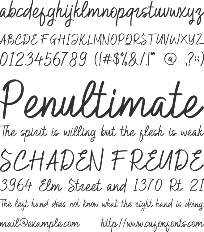 Hilburg Script font preview