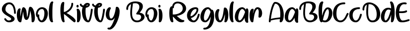 Smol Kitty Boi Regular font