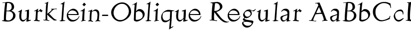 Burklein-Oblique Regular font