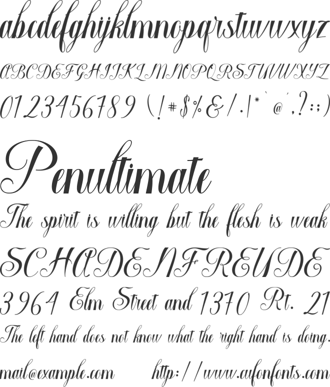 Macrofhyllya Script font preview