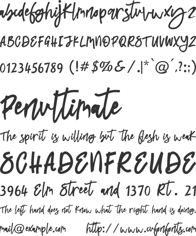 Latifah font preview