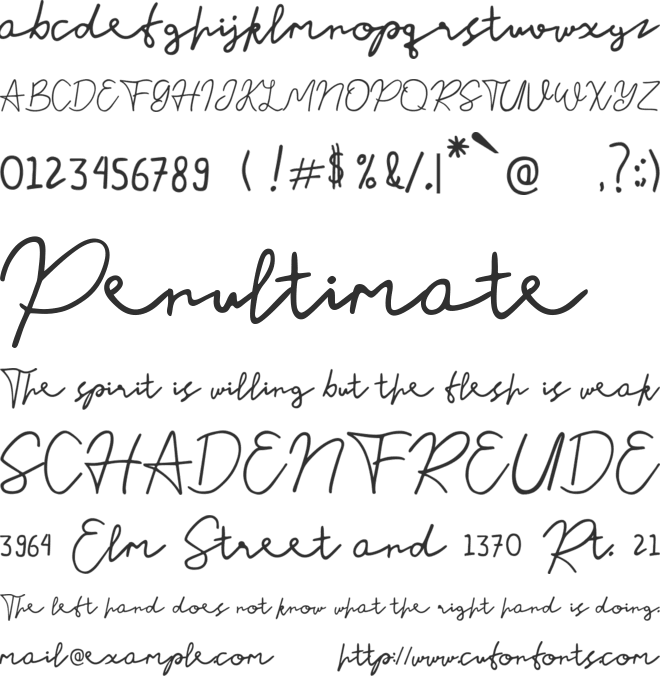 Nusapenida Signature font preview