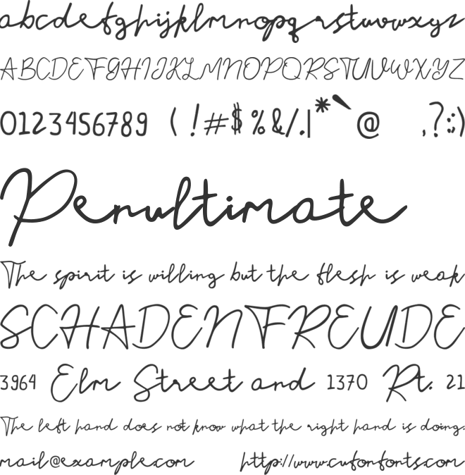 Nusapenida Signature font preview