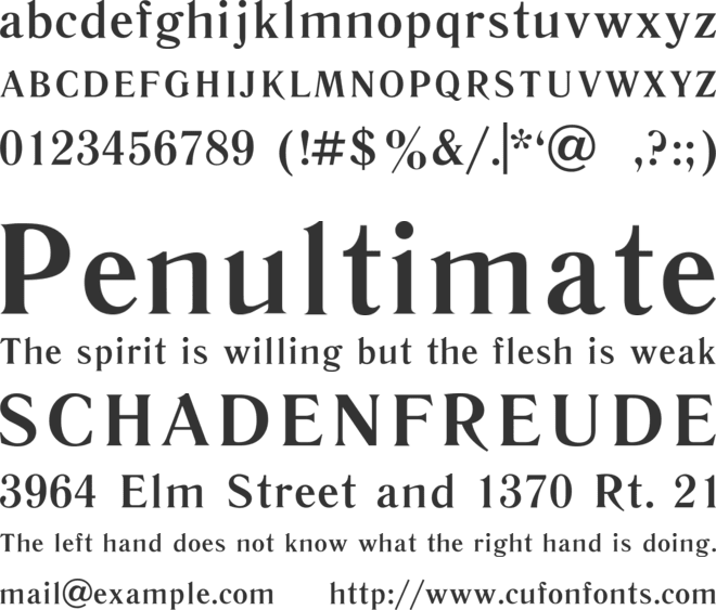 Literaturnaya font preview