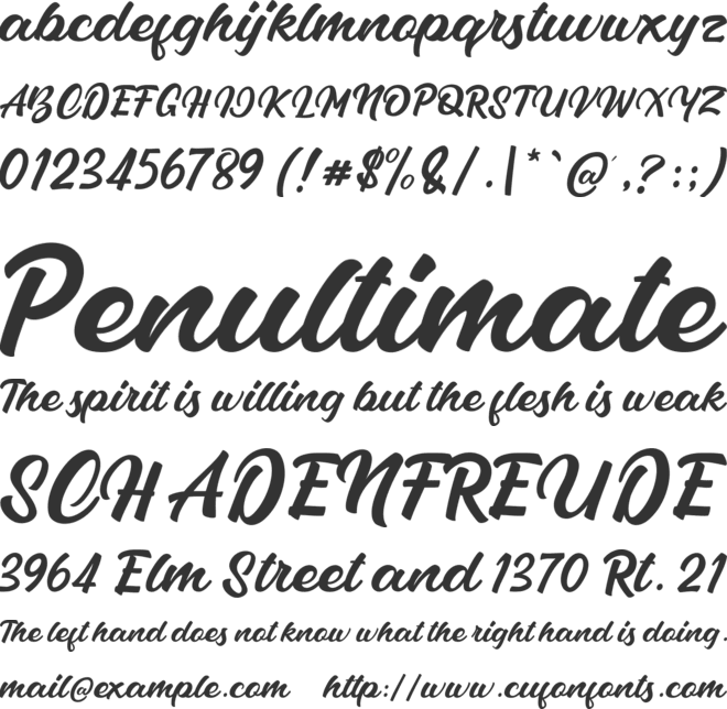 Vladiviqo font preview