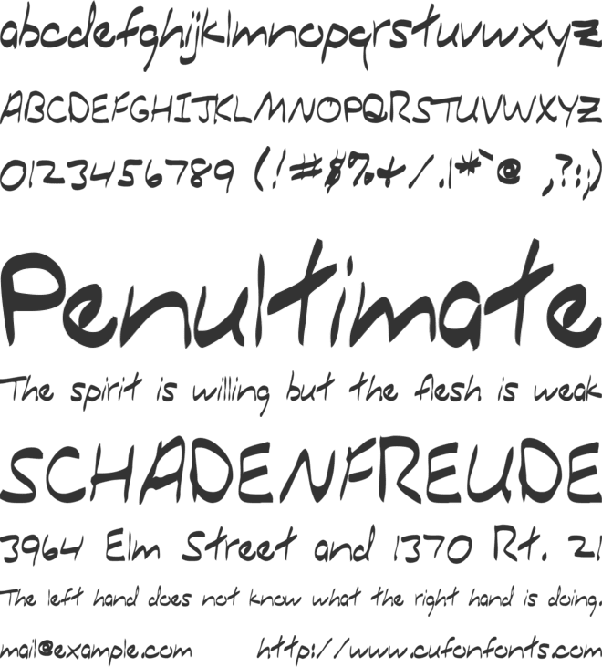 Shopping Everyday font preview