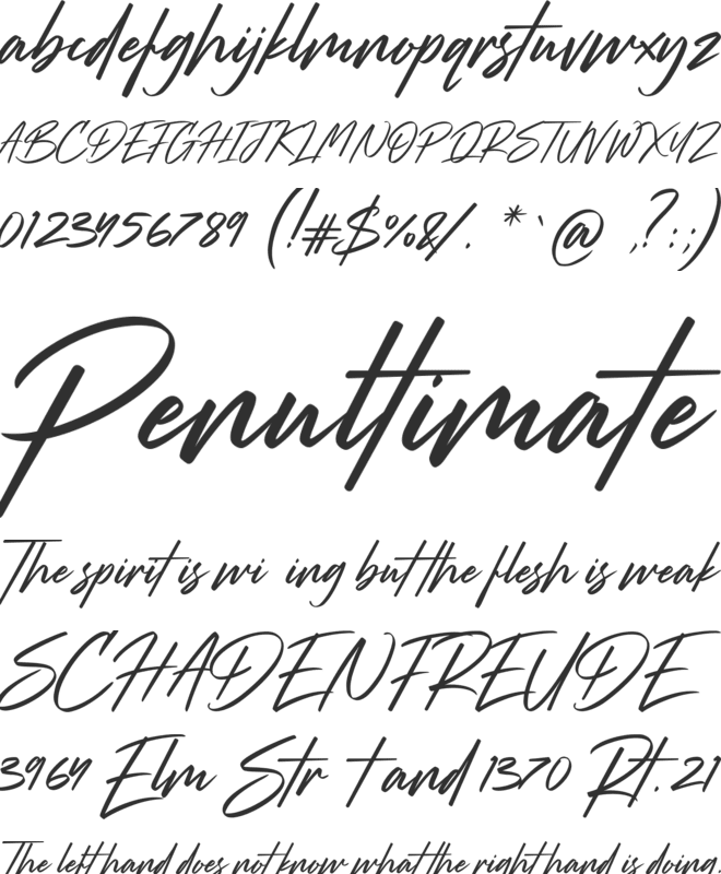 strude font preview