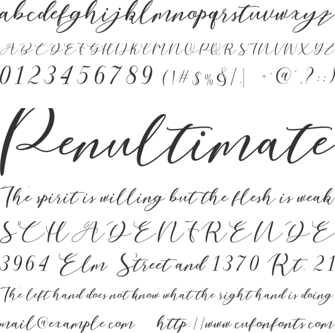 Nattyla font preview