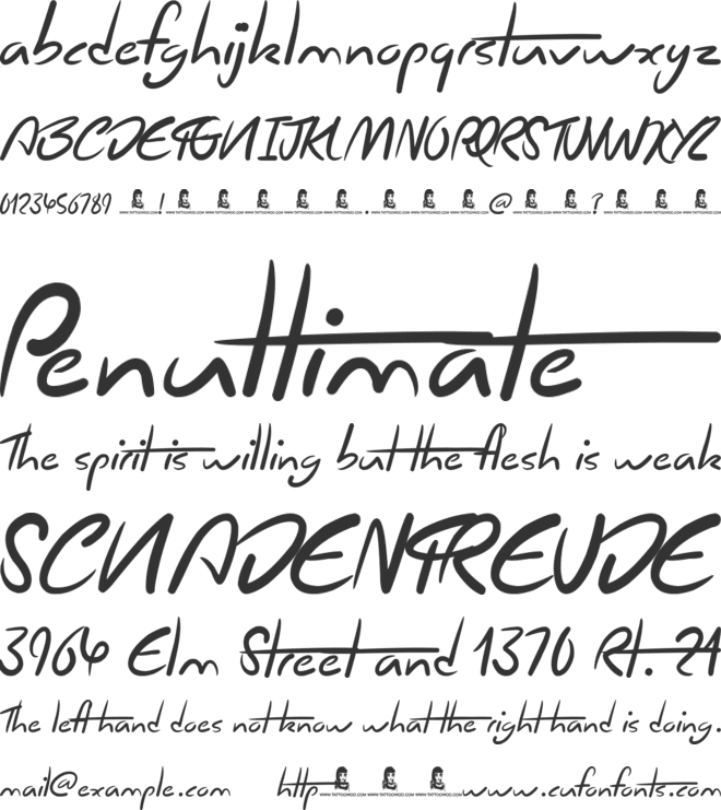 Chicken Fajitas font preview