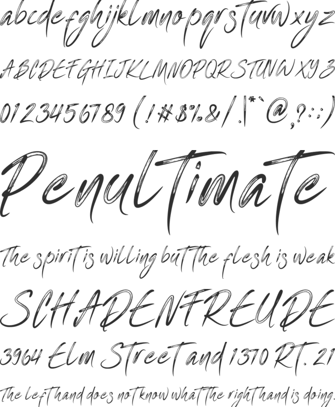 One Piece font preview