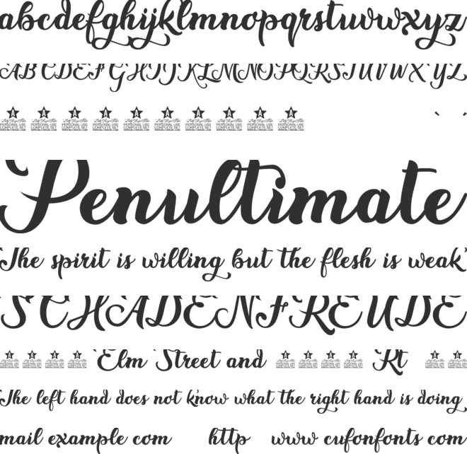 New Era Personal Use font preview