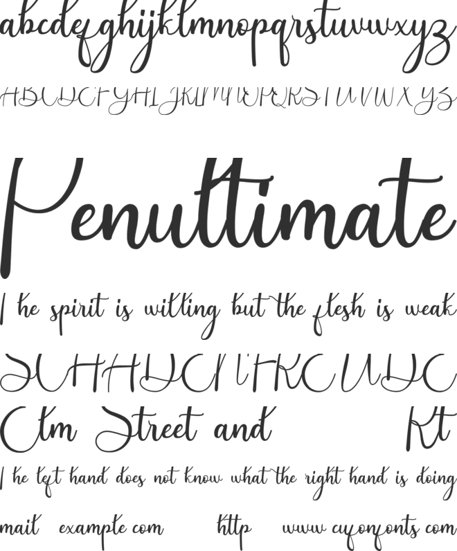 Andina font preview